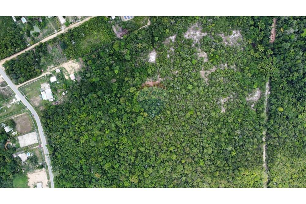 Terreno - Venda - Manaus , Amazonas - WhatsApp Image 2025-12-18 at 17.09.45.jpeg - 720721004-184