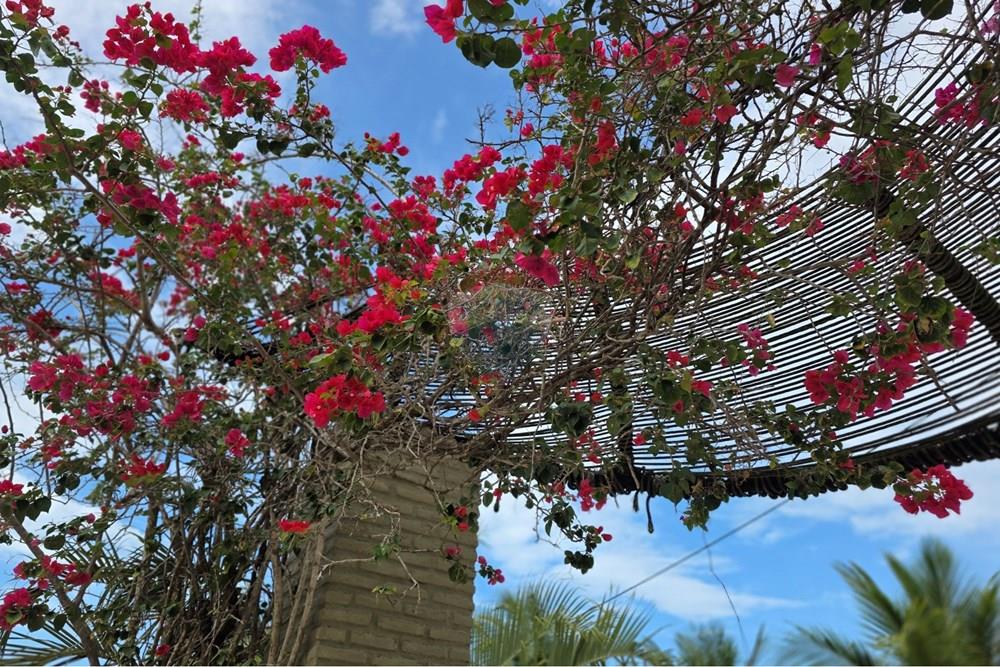 Terreno - Venda - Cruz , Ceará - 1000422701.jpg - 722341001-127