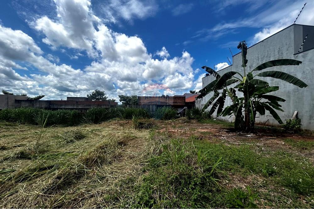 Terreno - Venda - Cacoal , Rondônia - IMG_2076.jpg - 721971001-41