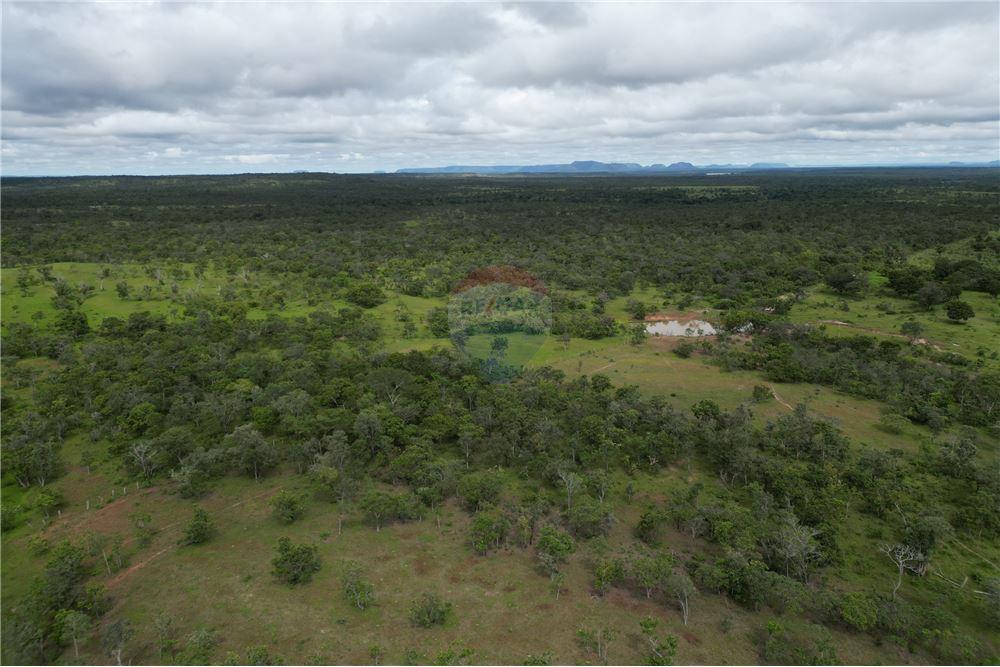 Fazenda - Venda - Carolina , Maranhão - 13 - 720991010-69