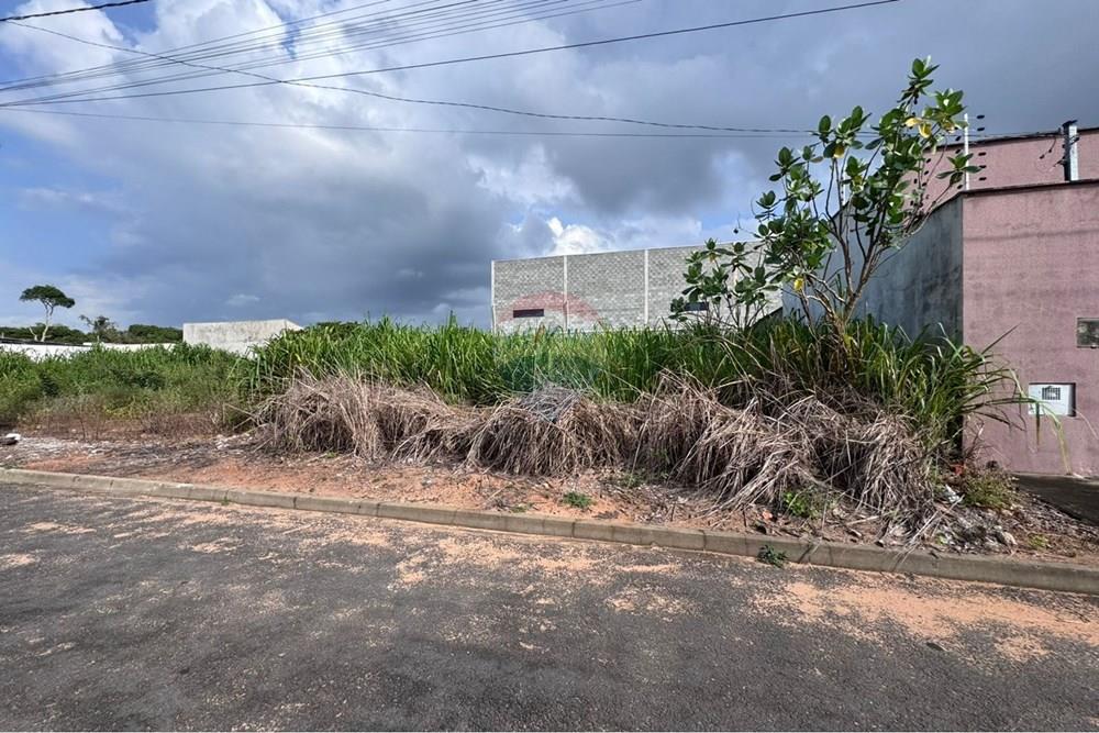 Terreno - Venda - Araguaína , Tocantins - WhatsApp Image 2026-02-02 at 16.34.12.jpeg - 720991002-162