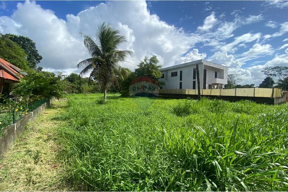 Terreno - Venda - Camaragibe , Pernambuco - WhatsApp Image 2025-06-25 at 18.11.42.jpeg - 720471070-30