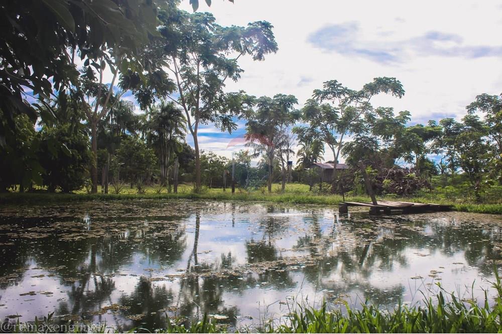 Residential - फार्म - Porto Velho , Rondônia - BR - PHOTO-2022-03-04-17-29-45 (1).jpg - 721551076-78