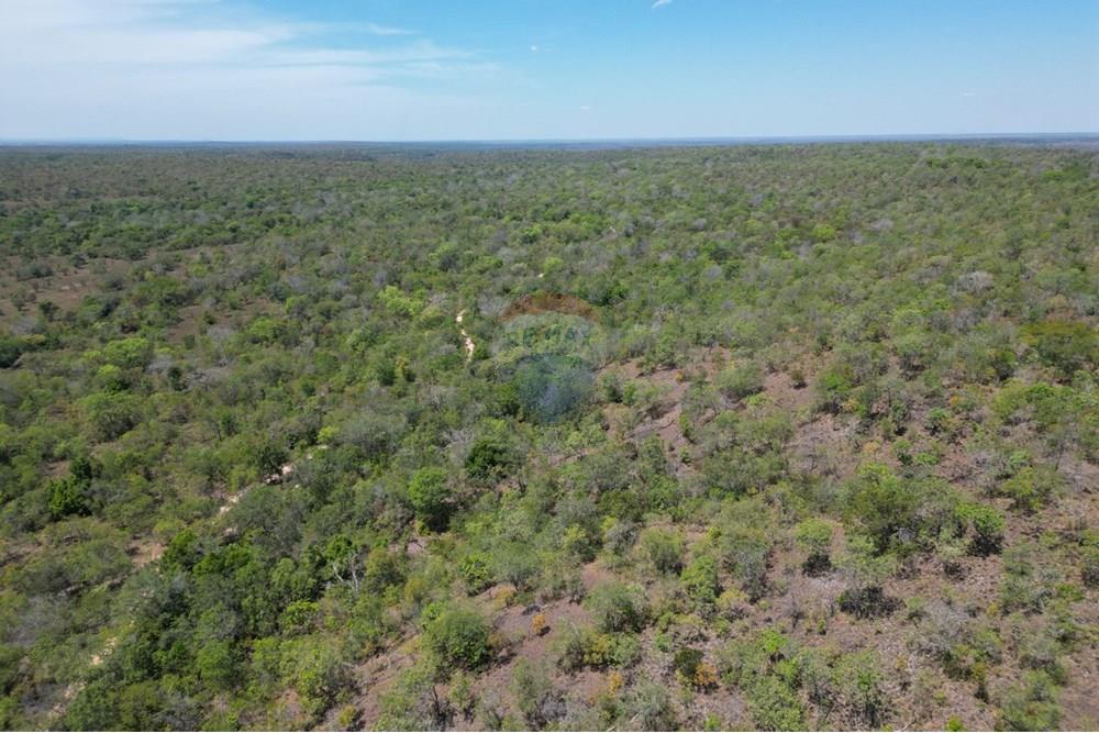 Agro - Venda - Carolina , Maranhão - WhatsApp Image 2025-08-28 at 17.45.07 (1).jpeg - 720991010-76