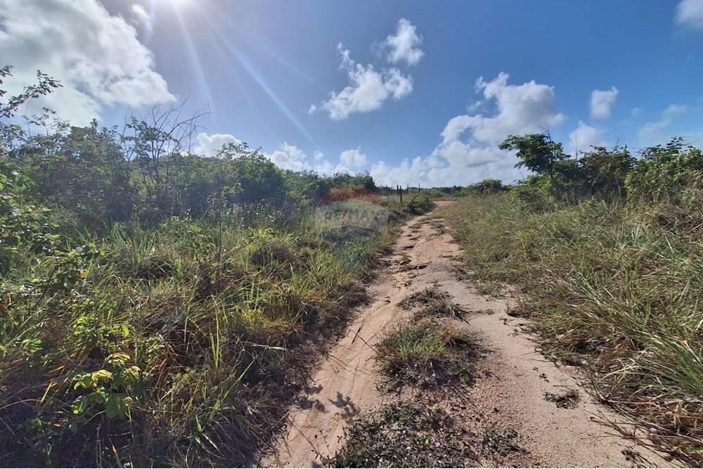 Terreno - Venda - Pitimbu , Paraíba - 701c774e-a8e5-41a7-a734-bb006101f8cc.jpeg - 720871044-79