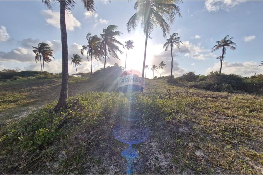 Terreno - Venda - Rio do Fogo , Rio Grande do Norte - WhatsApp Image 2025-09-23 at 22.49.50 (1).jpeg - 720811001-66