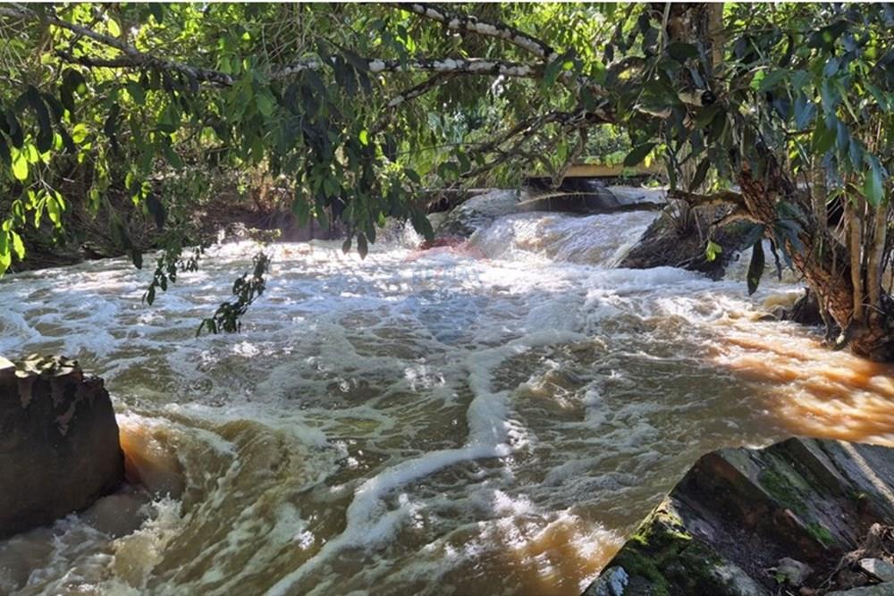 Chácara / Sítio / Fazenda - Venda - Mamanguape , Paraíba - 20250207_152951.jpg - 722011055-45