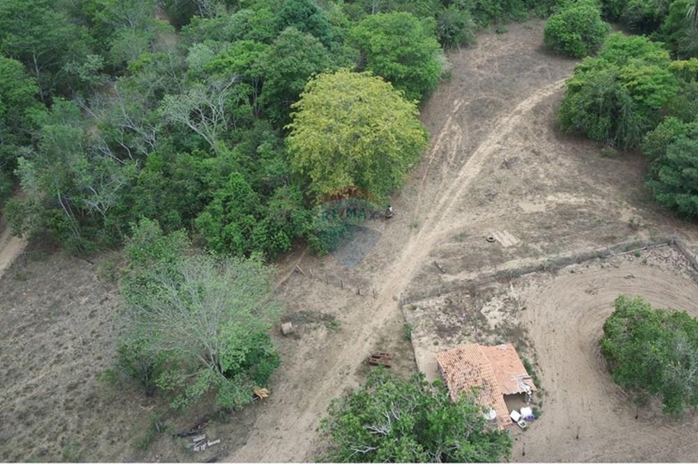 Chácara / Sítio / Fazenda - Venda - Dom Aquino , Mato Grosso - IMG_7857.JPG - 720611016-36