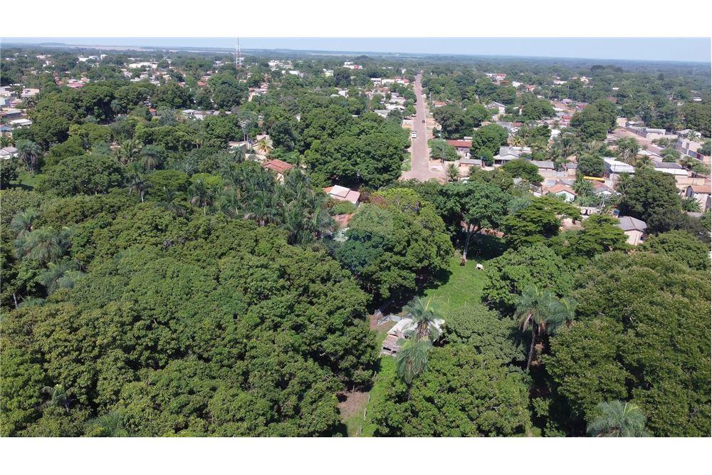 Chácara / Sítio / Fazenda - Venda - Porto Alegre do Norte , Mato Grosso - 20 - 720641031-14