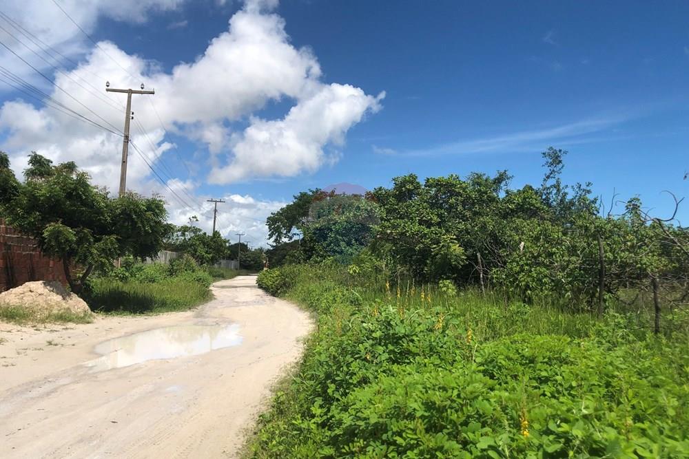 Terreno - Venda - Cruz , Ceará - IMG_0598.jpeg - 722341001-199