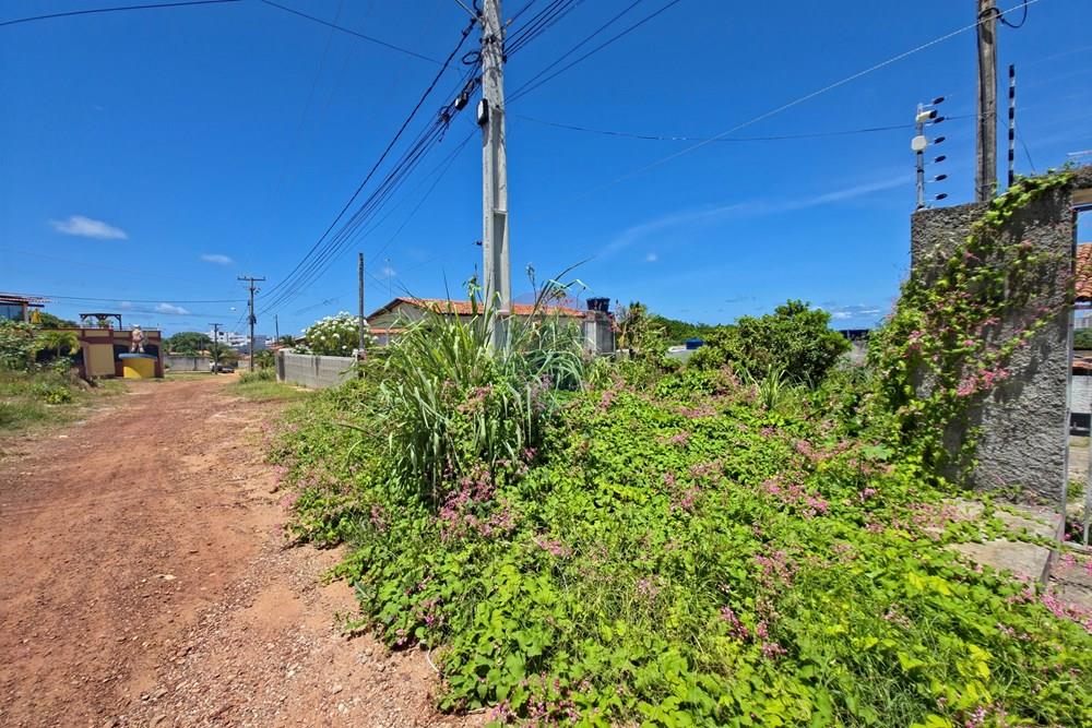 Terreno - Venda - Conde , Paraíba - 20260324_121556.jpg - 720871015-147