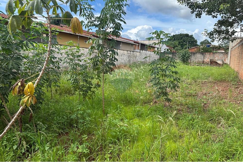 Terreno - Venda - Araguaína , Tocantins - IMG_2021.jpeg - 720991036-11