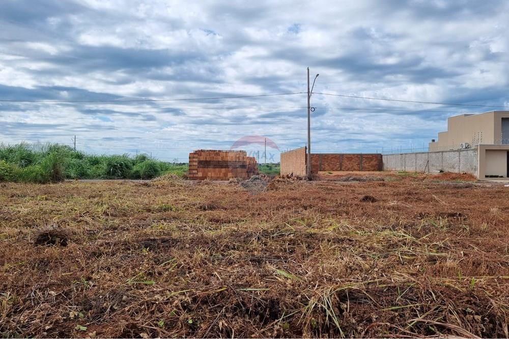 Terreno - Venda - Confresa , Mato Grosso - WhatsApp Image 2026-01-27 at 10.43.42.jpeg - 720641046-17