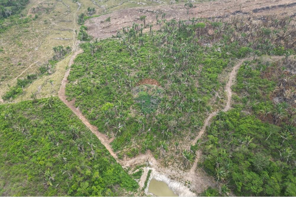 Chácara / Sítio / Fazenda - Venda - Araguaína , Tocantins - DJI_0048.JPG - 720991045-15