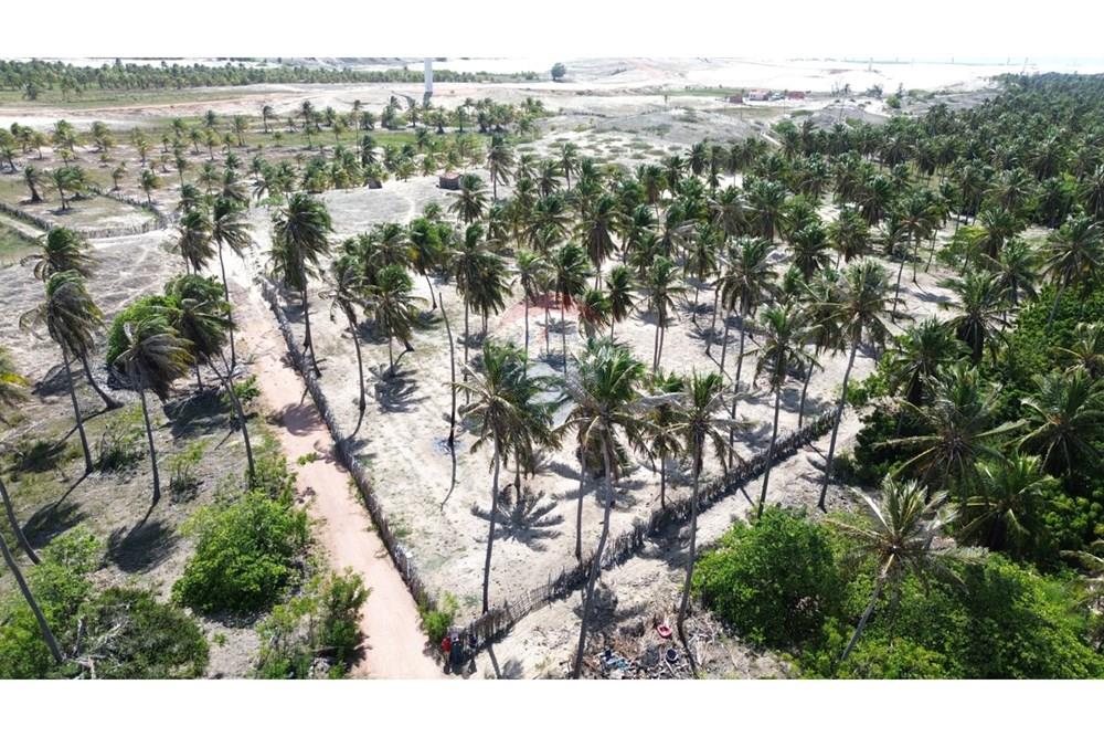 Terreno - Venda - Trairi , Ceará - WhatsApp Image 2026-02-13 at 16.45.34.jpeg - 722341005-47