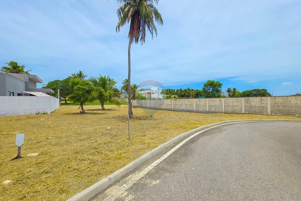 Terreno - Venda - Parnamirim , Rio Grande do Norte - 20-20260226_112012 (2).jpg - 720811001-76