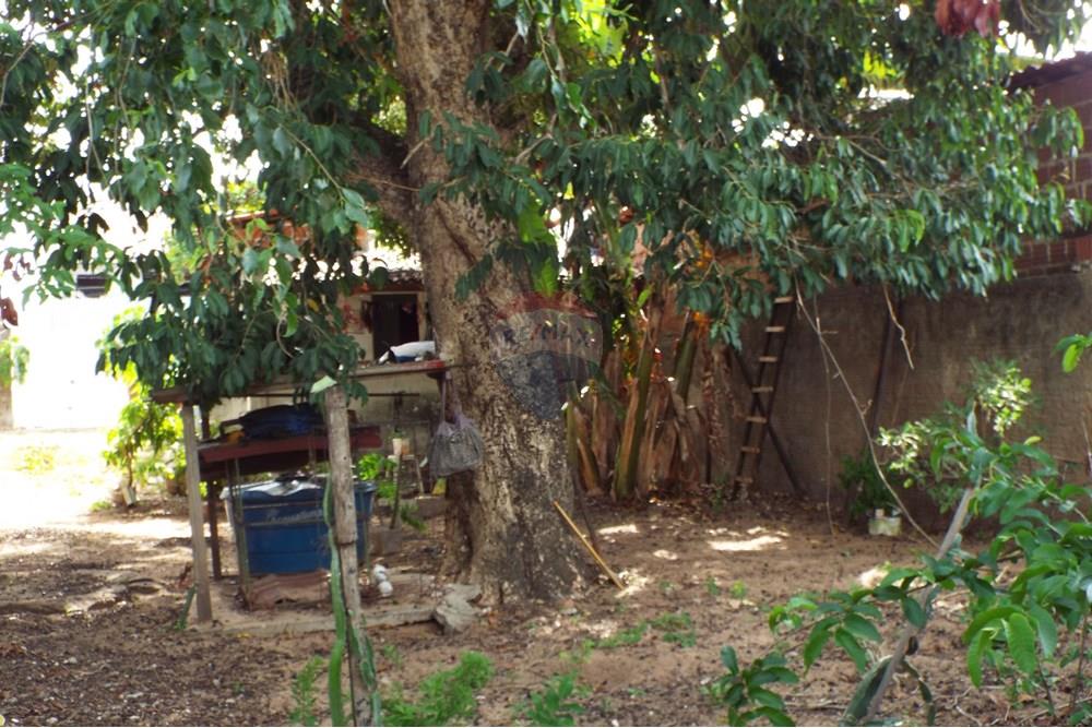 Terreno - Venda - Natal , Rio Grande do Norte - DSCF2365.JPG - 720891130-142