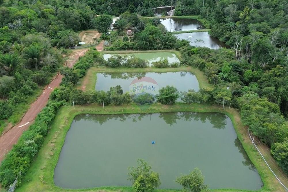 Woningbouw - Boerderij - Novo Airão , Amazonas - BR - Tanques de Peixes10.jpg - 720721055-29