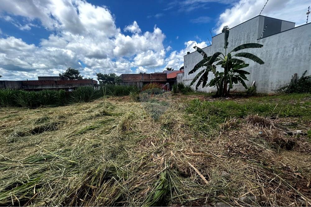 Terreno - Venda - Cacoal , Rondônia - IMG_2071.jpg - 721971001-41
