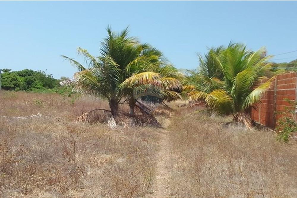 Terreno - Venda - Beberibe , Ceará - WhatsApp Image 2025-09-10 at 11.55.42 (3).jpeg - 721621165-53