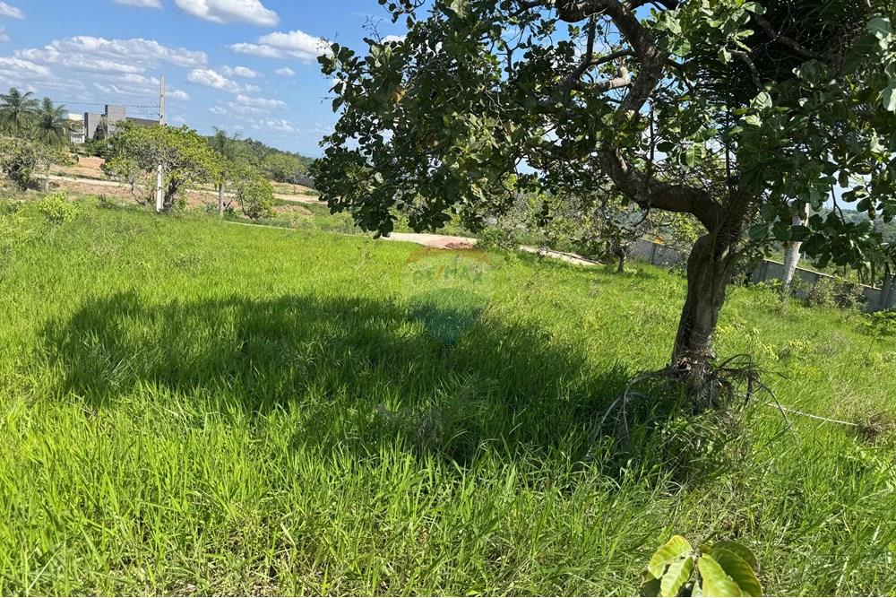 Terreno - Venda - Bananeiras , Paraíba - WhatsApp Image 2025-01-22 at 09.47.10 (6).jpeg - 720551002-74