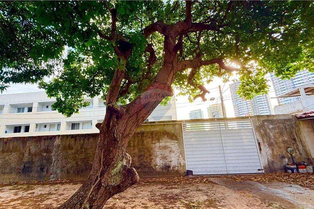 Terreno - Venda - Natal , Rio Grande do Norte - WhatsApp Image 2025-12-04 at 15.27.33 (10).jpeg - 720731001-2488