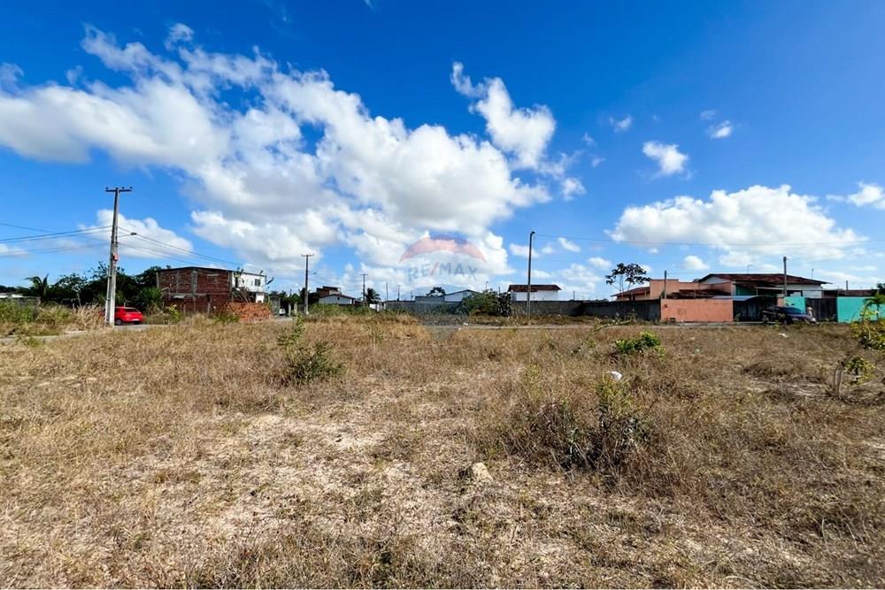 Terreno - Venda - São José de Mipibu , Rio Grande do Norte - c2299d90-10dc-41fd-a7eb-b97755c02a04.jpg - 720811011-106