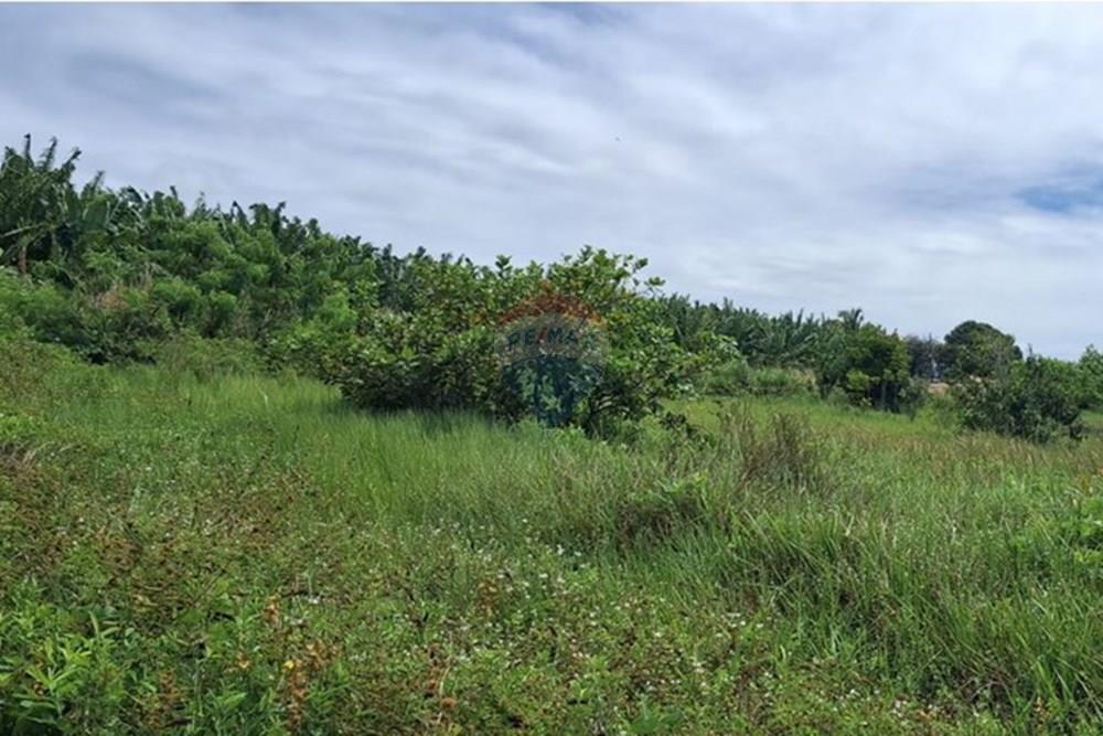 Terreno - Venda - Pitimbu , Paraíba - b3d98d19-0ee0-49ae-b37c-aeacca057c5a.jpeg - 720871044-91