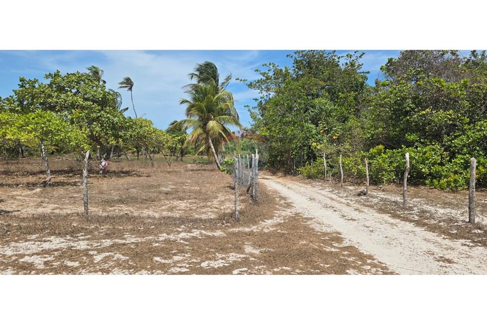 Terreno - Venda - Acaraú , Ceará - 1000304711.jpg - 722341001-114