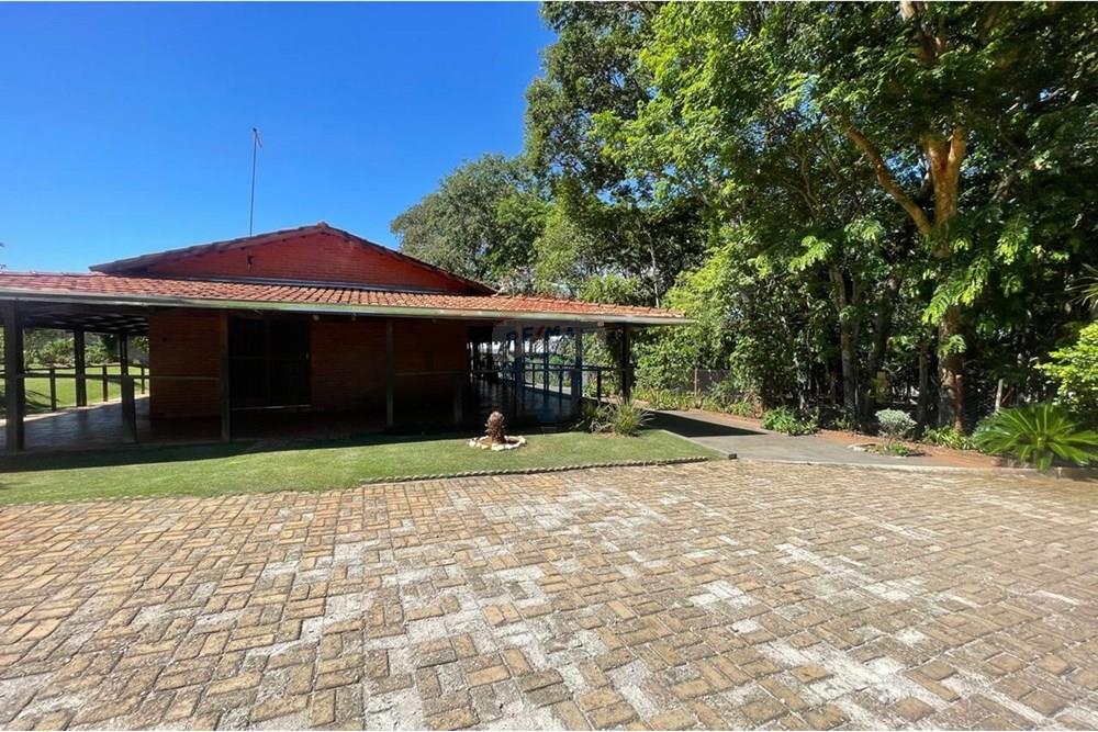 Chácara / Sítio / Fazenda - Venda - Nova Veneza , Goiás - WhatsApp Image 2025-11-18 at 07.24.54.jpeg - 722271015-32