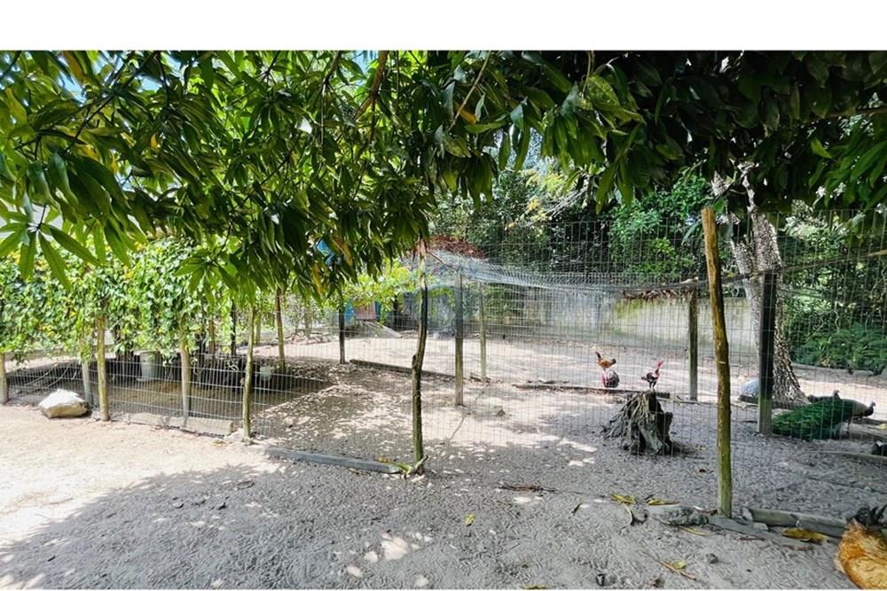 Terreno - Venda - Conde , Paraíba - WhatsApp Image 2025-09-24 at 13.36.55 (2).jpeg - 720871004-211