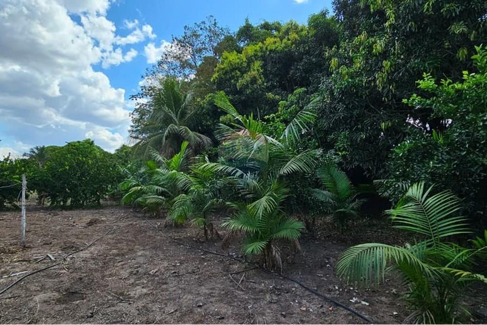 Chácara / Sítio / Fazenda - Venda - Araguaína , Tocantins - WhatsApp Image 2025-08-07 at 15.19.05 (1).jpeg - 722171030-16