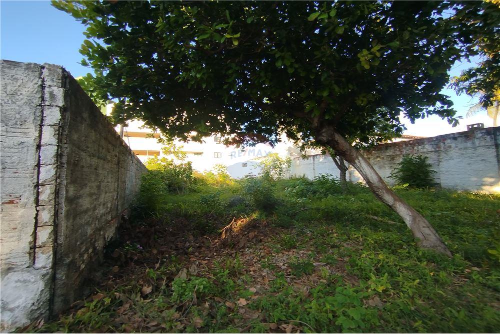 Terreno - Venda - Parnamirim , Rio Grande do Norte - 6 - 720891228-1