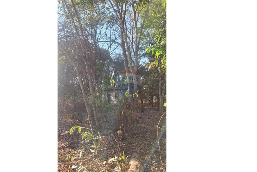 Outros - Venda - Rondonópolis , Mato Grosso - IMG-20250830-WA0121.jpg - 721981068-7