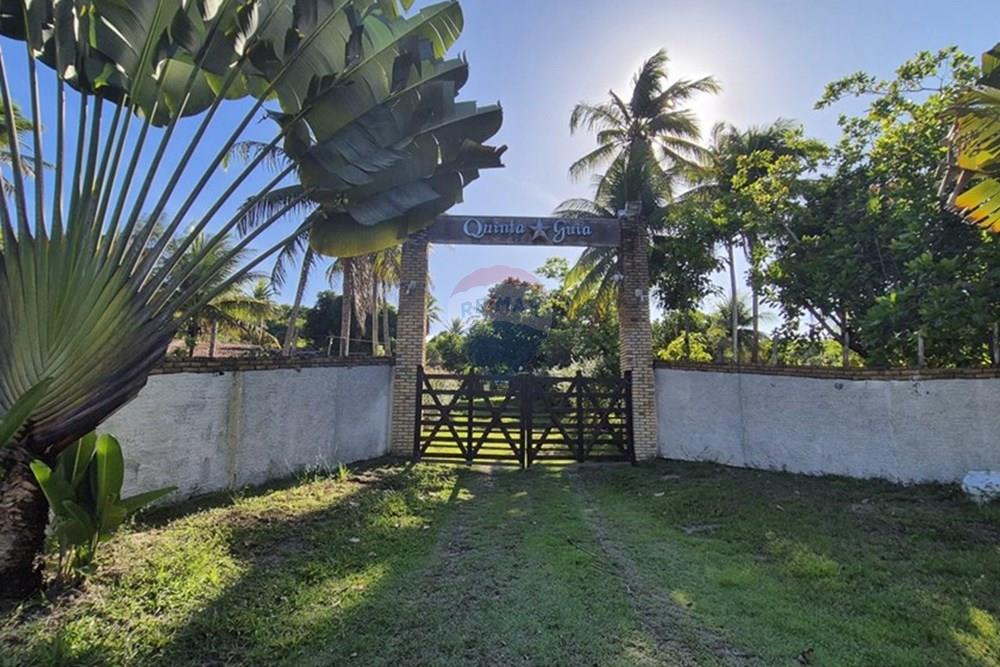 Chácara / Sítio / Fazenda - Venda - Mamanguape , Paraíba - 20250207_152034.jpg - 722011055-45