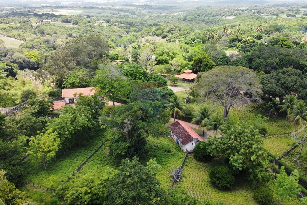 Chácara / Sítio / Fazenda - Venda - Conde , Paraíba - Photo_6619168_DJI_32_jpg_4046363_0_20211021111522_photo_original.jpg - 722011055-33