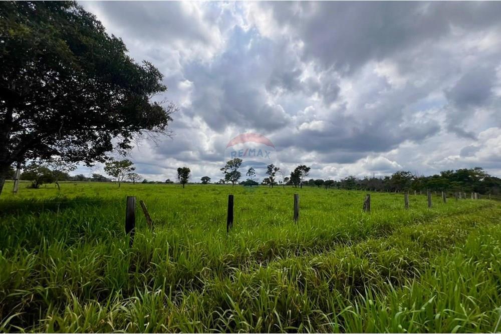 Fazenda - Venda - Araguaína , Tocantins - WhatsApp Image 2025-12-13 at 19.34.41.jpeg - 720991010-81