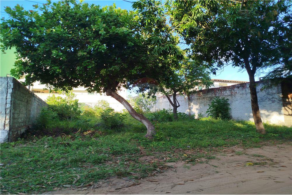 Terreno - Venda - Parnamirim , Rio Grande do Norte - 16 - 720891228-1
