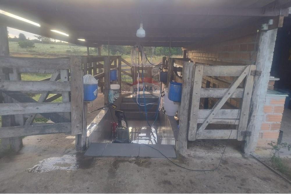 Chácara / Sítio / Fazenda - Venda - Confresa , Mato Grosso - IMG-20250926-WA0045.jpg - 720641046-10