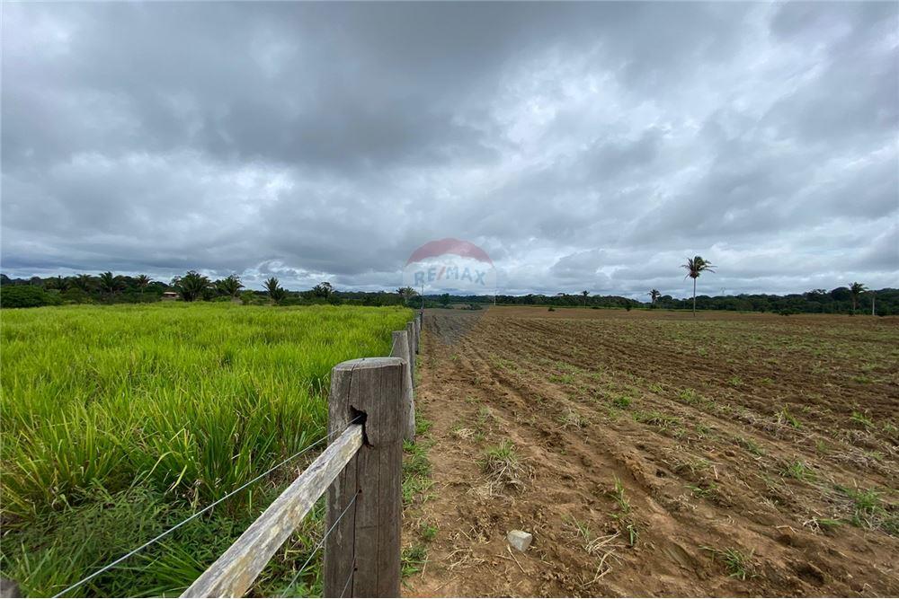 Residential - Gårdsbruk - Candeias do Jamari , Rondônia - BR - 27 - 721551076-93