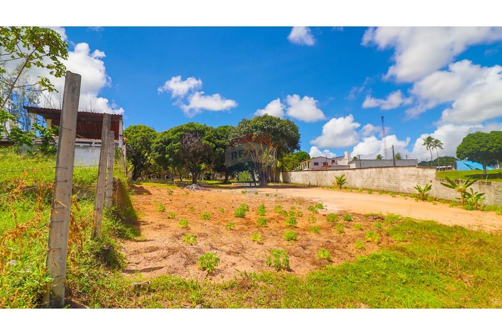 Casa - Venda - Nísia Floresta , Rio Grande do Norte - IMG_5807.jpg - 720891278-1