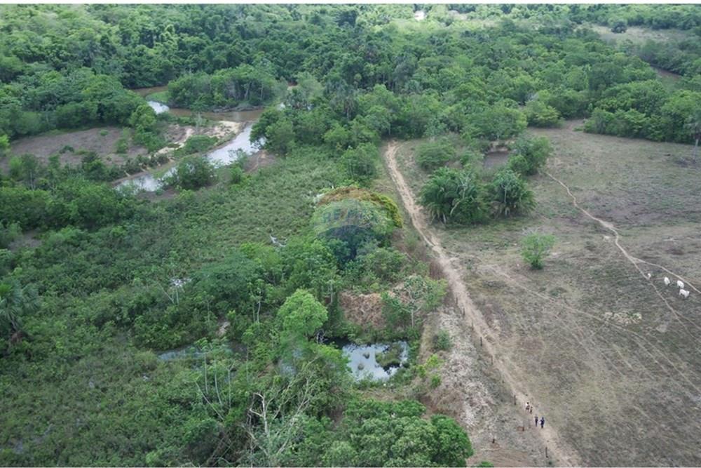 Chácara / Sítio / Fazenda - Venda - Dom Aquino , Mato Grosso - IMG_7855.JPG - 720611016-36