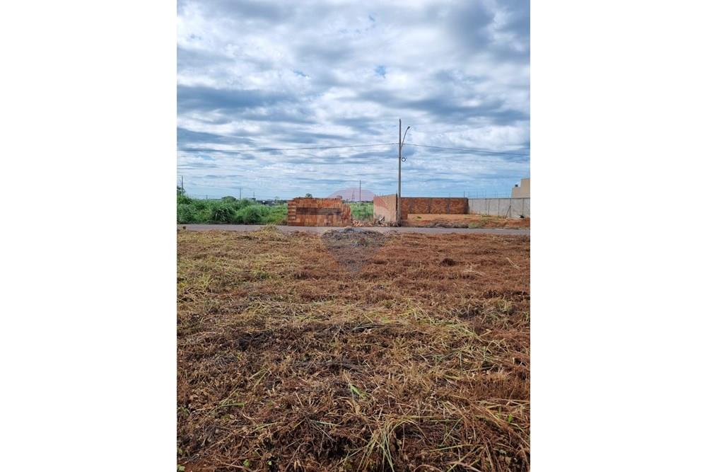 Terreno - Venda - Confresa , Mato Grosso - WhatsApp Image 2026-01-27 at 10.43.41 (1).jpeg - 720641046-17
