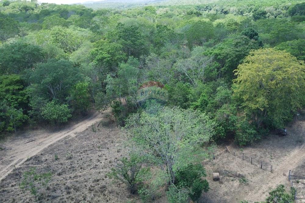 Chácara / Sítio / Fazenda - Venda - Dom Aquino , Mato Grosso - IMG_7836 (1).JPG - 720611016-36