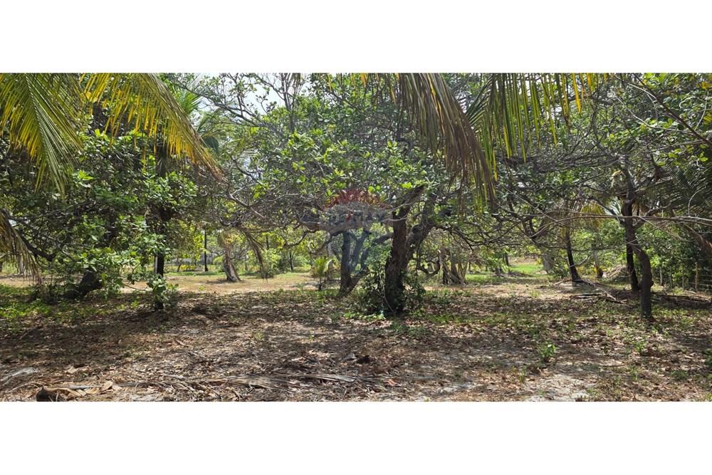 Terreno - Venda - Acaraú , Ceará - 1000304695.jpg - 722341001-114