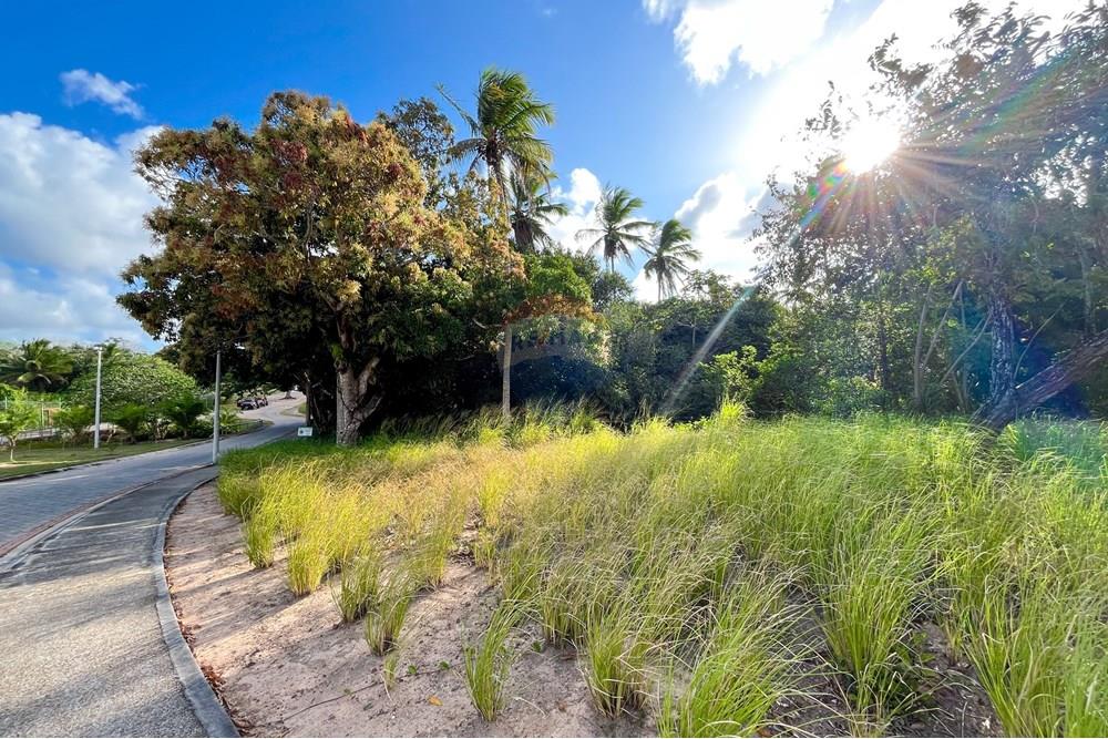 Terreno - Venda - Parnamirim , Rio Grande do Norte - IMG_5053.jpg - 720811066-3