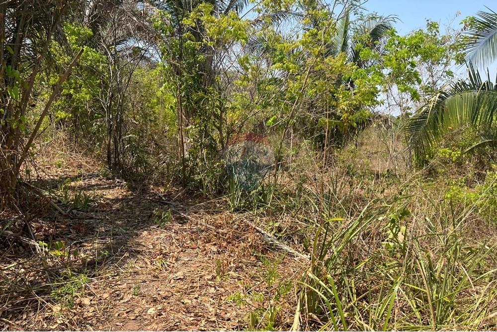 Chácara / Sítio / Fazenda - Venda - Rondonópolis , Mato Grosso - WhatsApp Image 2025-10-08 at 16.18.12 (1).jpeg - 720611061-15