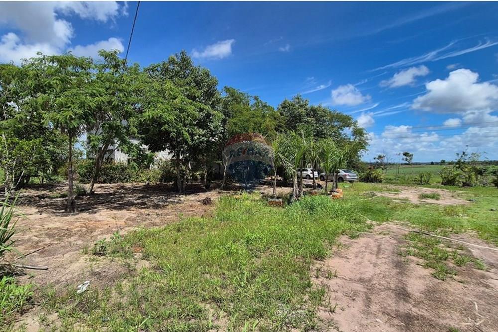 Galpão - Alugar - Pedras de Fogo , Paraíba - 20250207_102914.jpg - 722011055-40