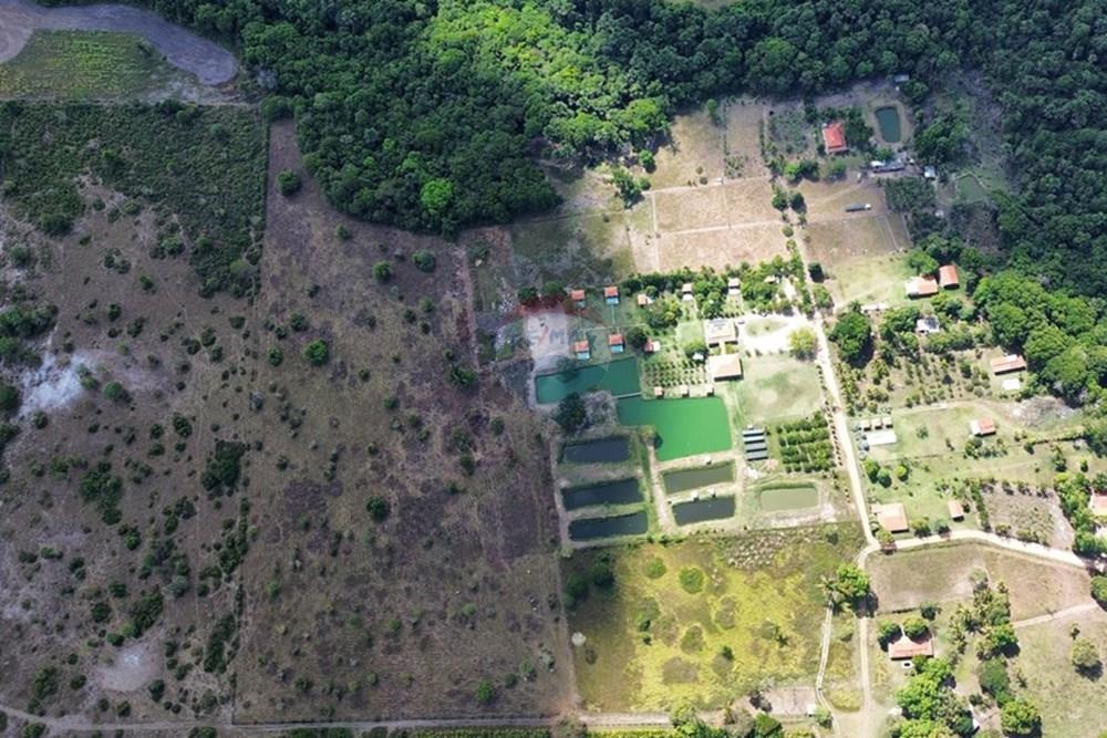 Chácara / Sítio / Fazenda - Venda - Araguaína , Tocantins - IMG_9039.JPG - 722171030-16