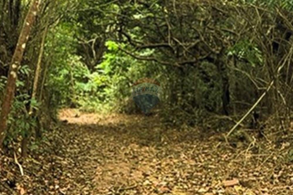 Casa de Condomínio - Venda - Parnamirim , Rio Grande do Norte - TRILHA ECOLOGICA.jpg - 720891254-12